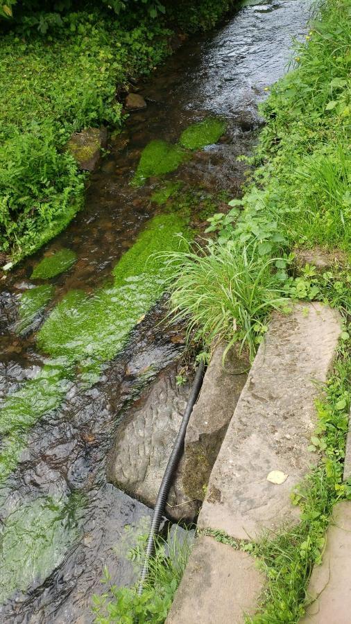Gite A La Petite Fontaine-Plain Pied-Maison Alsacienne Renovee Avec Passion-4 Pers-4Nuitees Minimum Langensoultzbach Ngoại thất bức ảnh