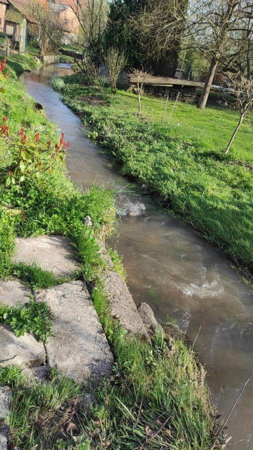 Gite A La Petite Fontaine-Plain Pied-Maison Alsacienne Renovee Avec Passion-4 Pers-4Nuitees Minimum Langensoultzbach Ngoại thất bức ảnh