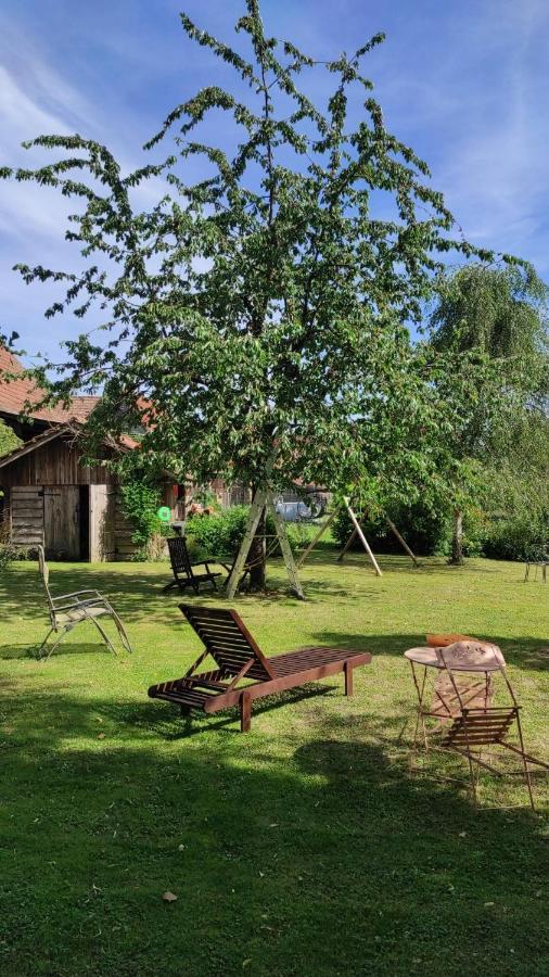 Gite A La Petite Fontaine-Plain Pied-Maison Alsacienne Renovee Avec Passion-4 Pers-4Nuitees Minimum Langensoultzbach Ngoại thất bức ảnh