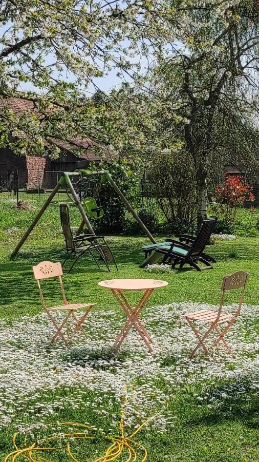 Gite A La Petite Fontaine-Plain Pied-Maison Alsacienne Renovee Avec Passion-4 Pers-4Nuitees Minimum Langensoultzbach Ngoại thất bức ảnh